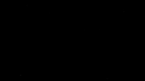 25035